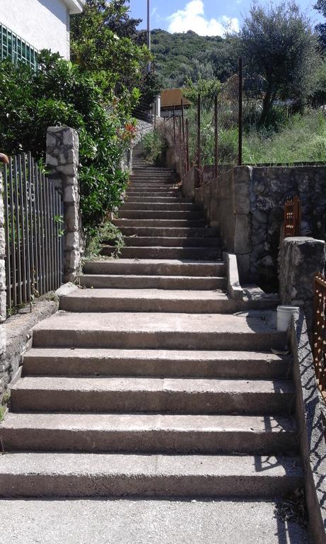 דוברה וודה Apartman Marinkovic מראה חיצוני תמונה